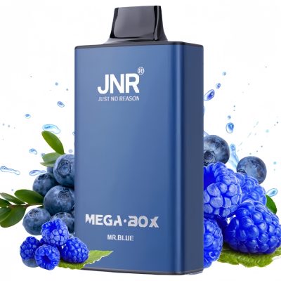 JNR Mega Box 25000 Mr Blue 1 - Clase Azul Vape