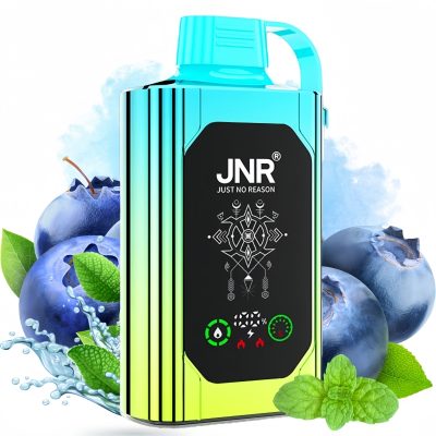 JNR Shisha Hookah Box 20500 Blueberry Mint 1 - Clase Azul Vape