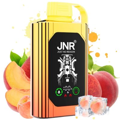 JNR Shisha Hookah Box 20500 Juicy Peaches 1 - Clase Azul Vape