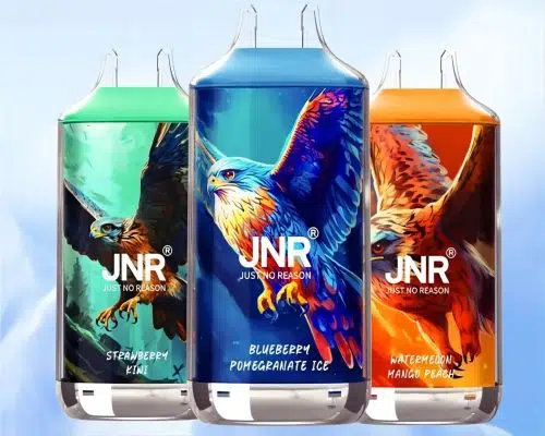 JNR Falcon 16000 Puffs