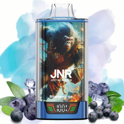 JNR Rage Grilla 55000 Blueberry lce - JNR Vape