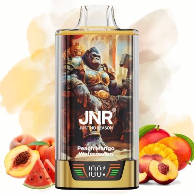 JNR Rage Grilla 55000 Peach Mango Watermelones - JNR Vape